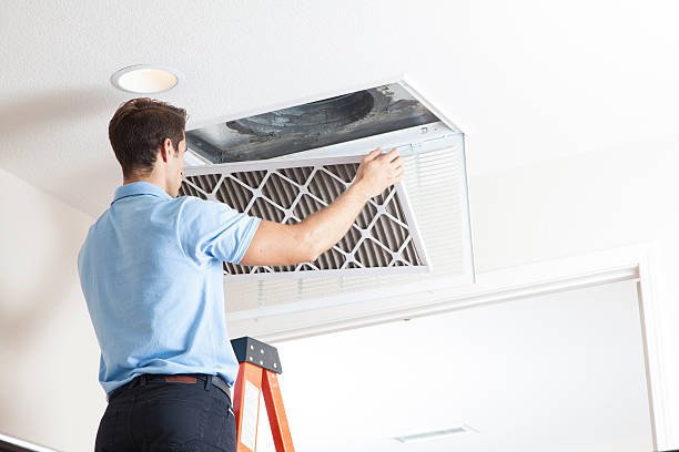 Best HVAC Installation Services  in Elton, LA